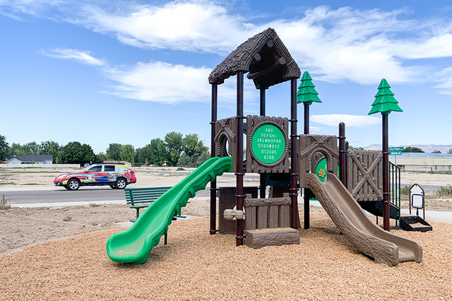 Forestland Series playground equipment